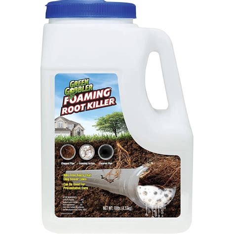 distribution box septic root control|root killer in septic system.